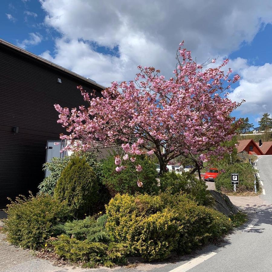 Trysnes Brygge Aparthotel *